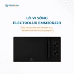 Electrolux EMM20K22B 02