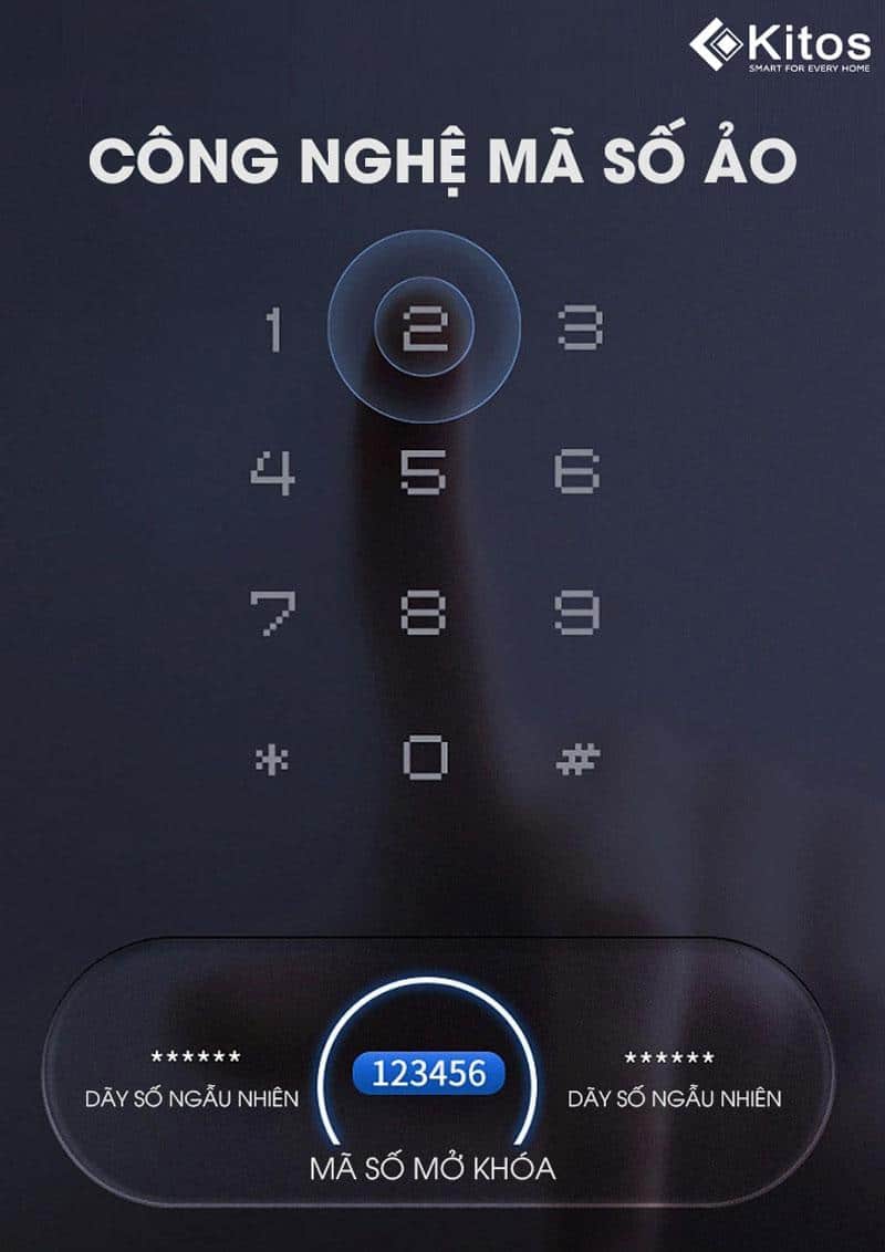 image8 2